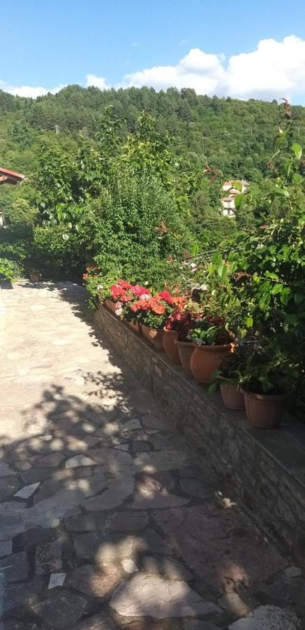 Апартаменти Το Σπίτι Της Ευτυχίας Στούντιο Karpenisi Екстер'єр фото